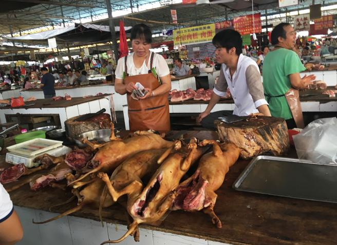 festival carne perro yulin Biodog