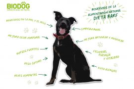 dieta barf para perros alimentacion cruda